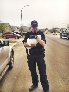 RCMP Const. Patrick Vallee holds a cat he rescued in Fort McMurray. Photo provided. 