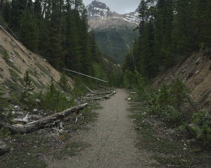 A proposed trail from Jasper to the Columbia Icefields will cost an extra $20.5 million. The proposed trail will use parts of the old paved highway such as this. D. Regett photo.