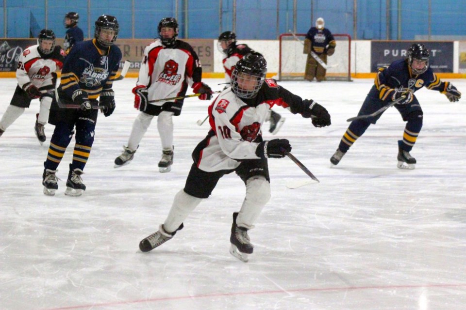 Minor hockey (edited)