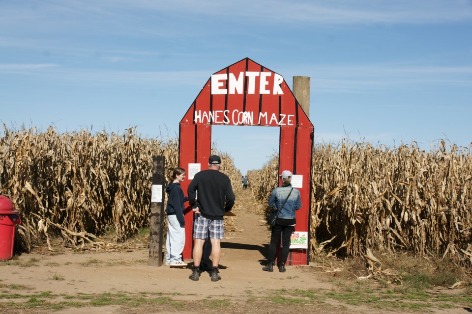 2024-10-16-hanes-pumpkin-patch-corn-maze-gf