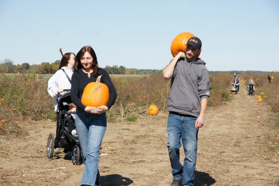 Vanessa Creech and Nate Goud carry their selections from the pumpkin patch at Hanes Corn Maze on Saturday. 