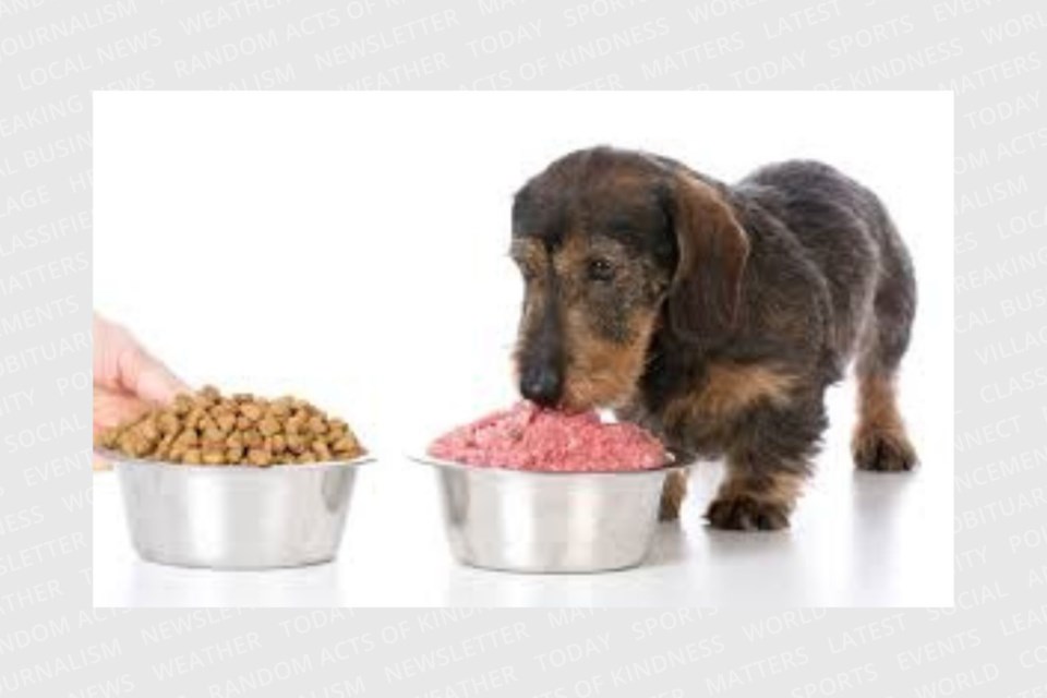 Feeding pets a raw diet has benefits and drawbacks.