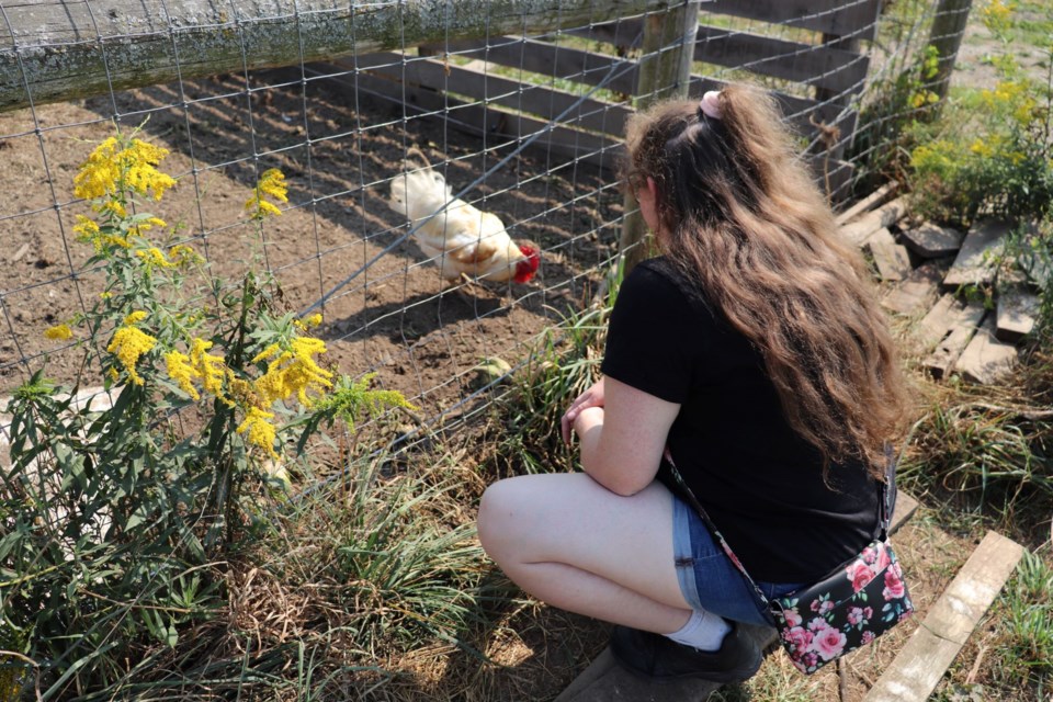 Farm Crawl visitor Danielle Johnson stops to see the chickens at Liberty Way Farm. 