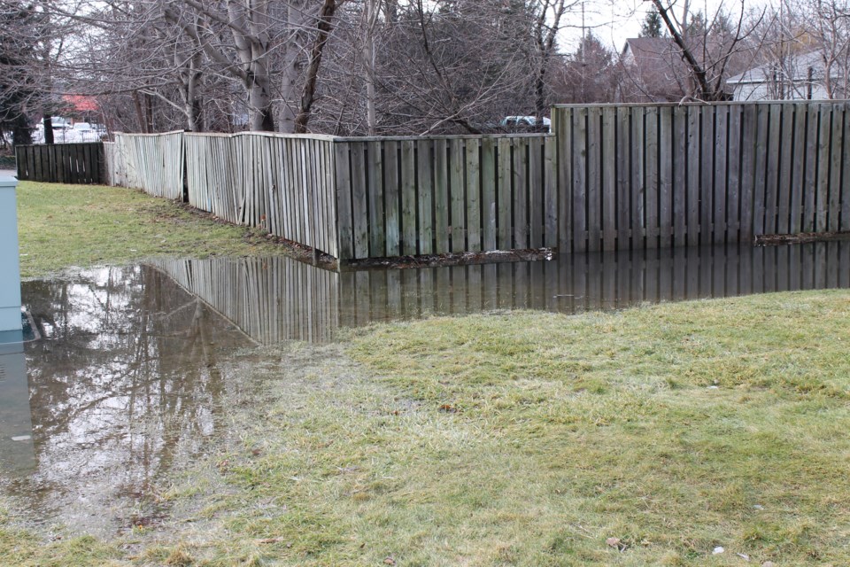 2024-01-26-dundas-street-puddle-baj