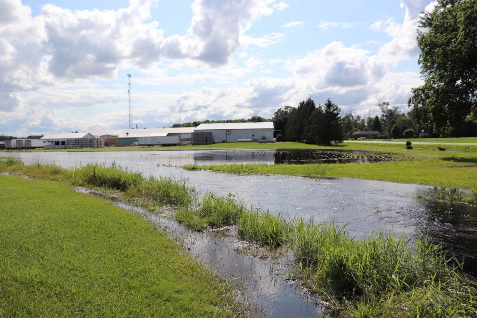 2024-07-19-flood-farm-field-cmsn