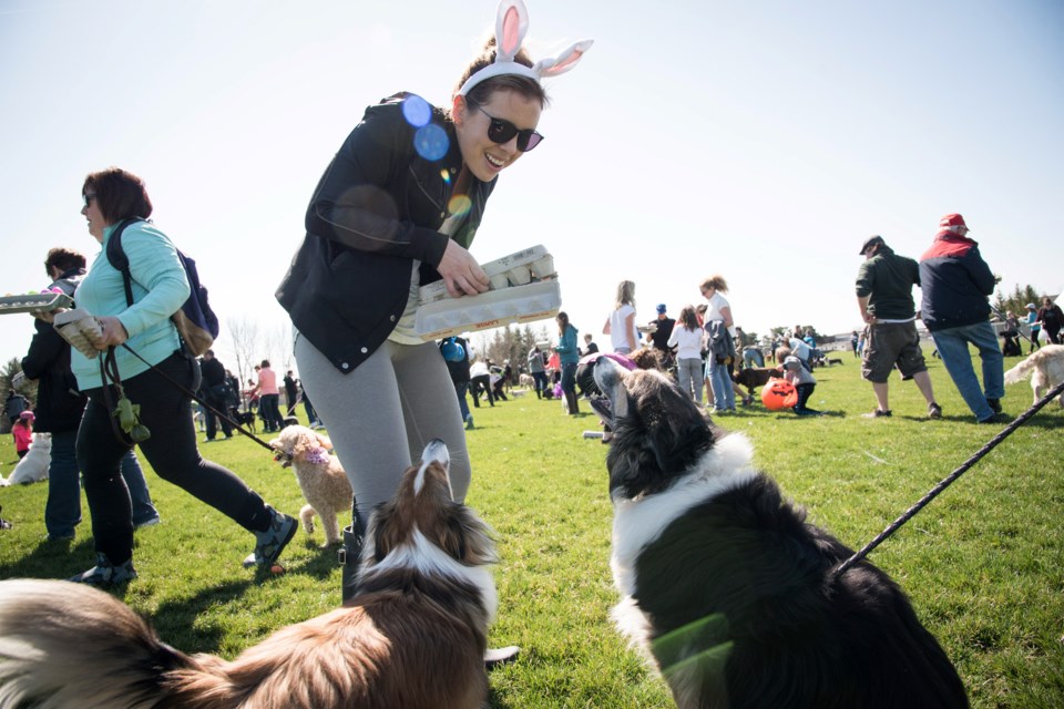 The annual Good Friday Easter Egg Hunt in support of National Service Dogs was held at six locations this year, including Joe Sams Park in Waterdown.