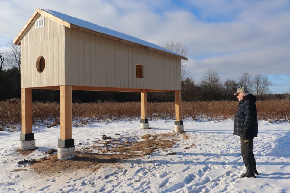 2025-01-07-glenn-bird-shed2-cmsn