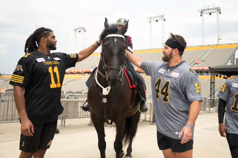 Ticats players Brandon Barlow (11) and Casey Sayles meet TC, the latest addition to the Hamilton Police Service Mounted Unit.