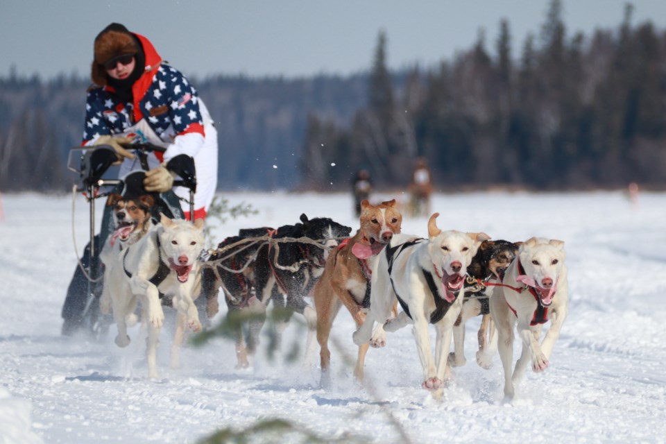 n01-sled-dog-race