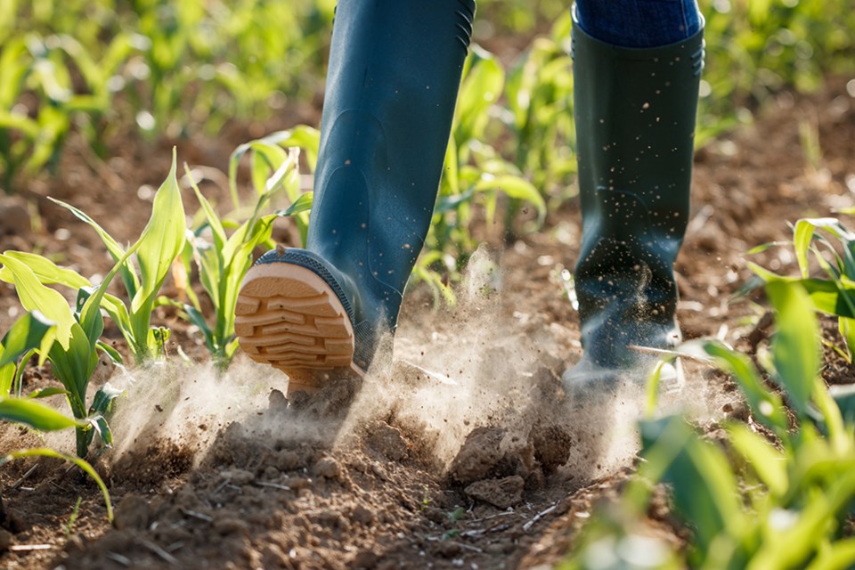 farm-drought-6601-adobe-stock