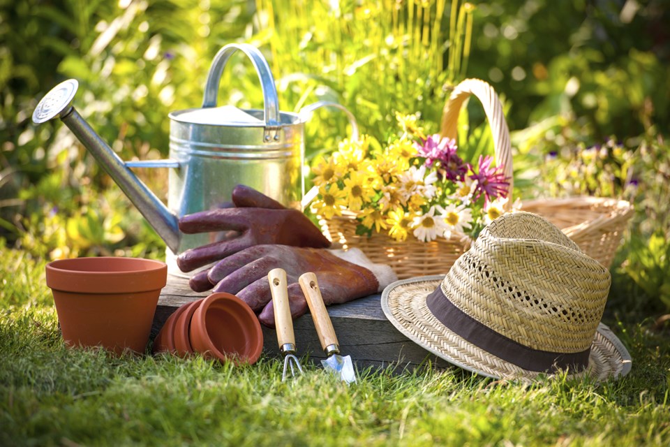 gardening