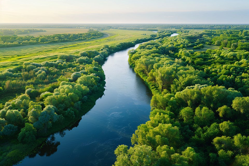 riparian-river-0195-adobe-stock