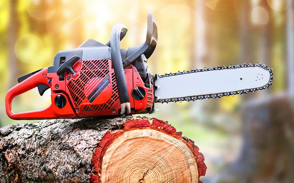 tree-chainsaw-9158-adobe-stock