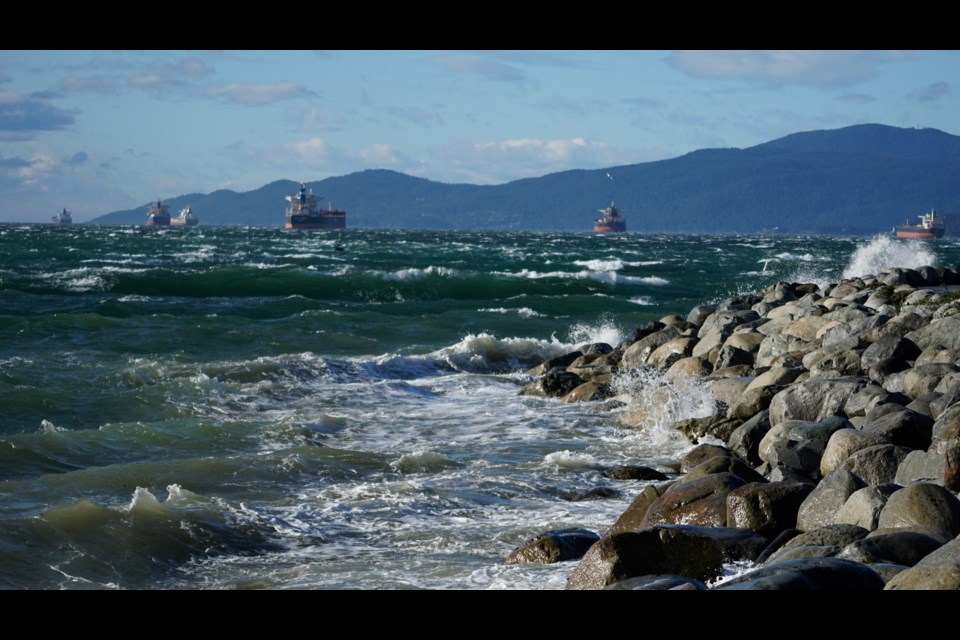 Windy conditions were felt along Vancouver's seawall on Nov. 4, 2024.