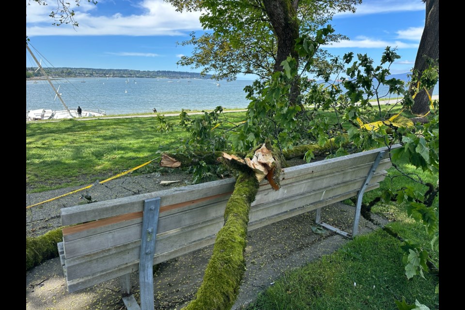 Wind damage at Sunset Beach on Wednesday after winds gusted to 90 km/h nearby at Jericho Beach.