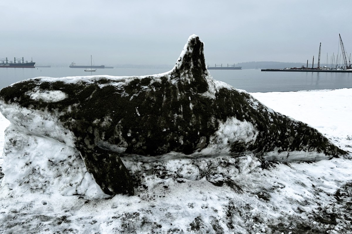 展示BC雪地艺术作品：真人大小的虎鲸和土豆先生