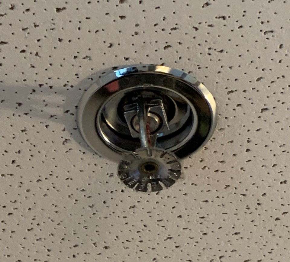 fire-sprinkler