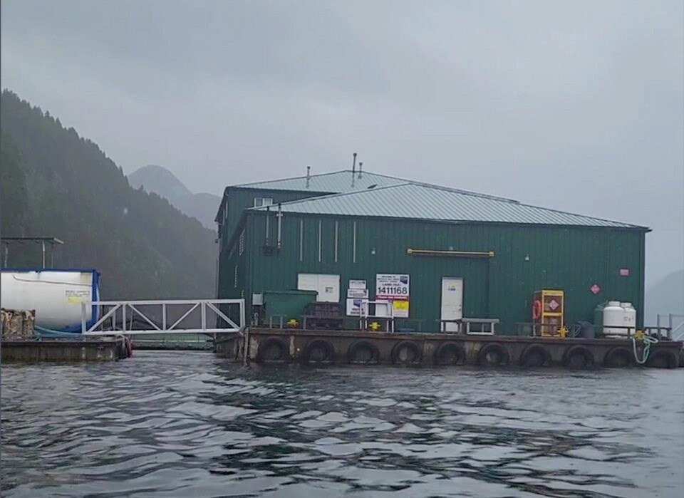 north-muchakat-grieg-salmon-farm-1