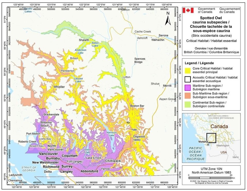 spotted-owl-critical-habitat-2024