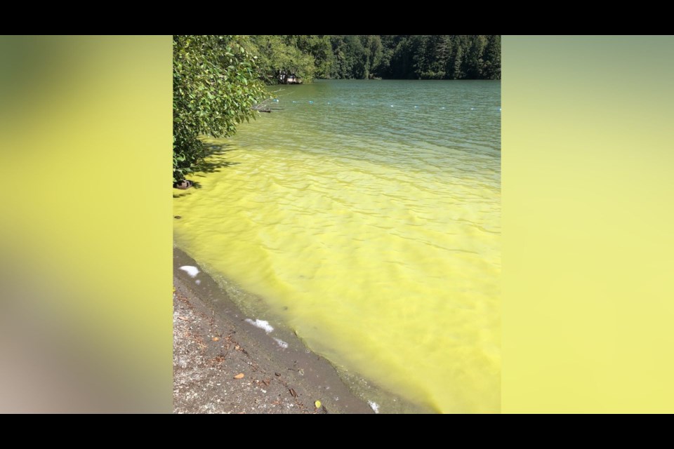 VCH Issues Stern Warning Against Swimming at Alice Lake - North Shore News