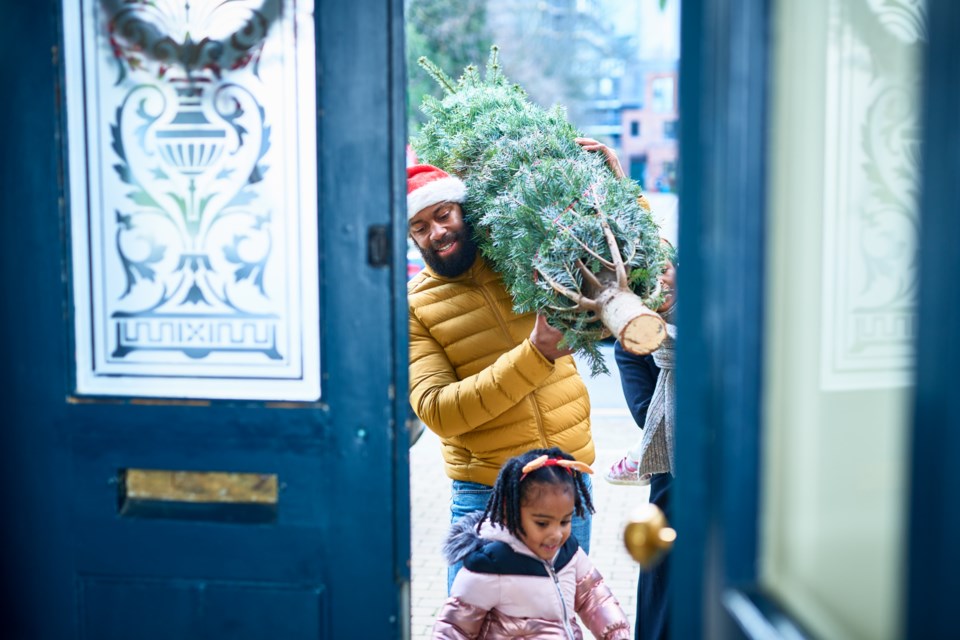 dadcarryingchristmastree