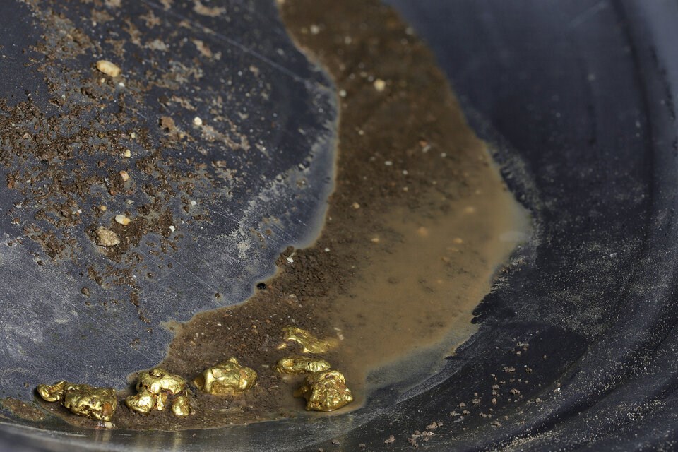 gold-panning