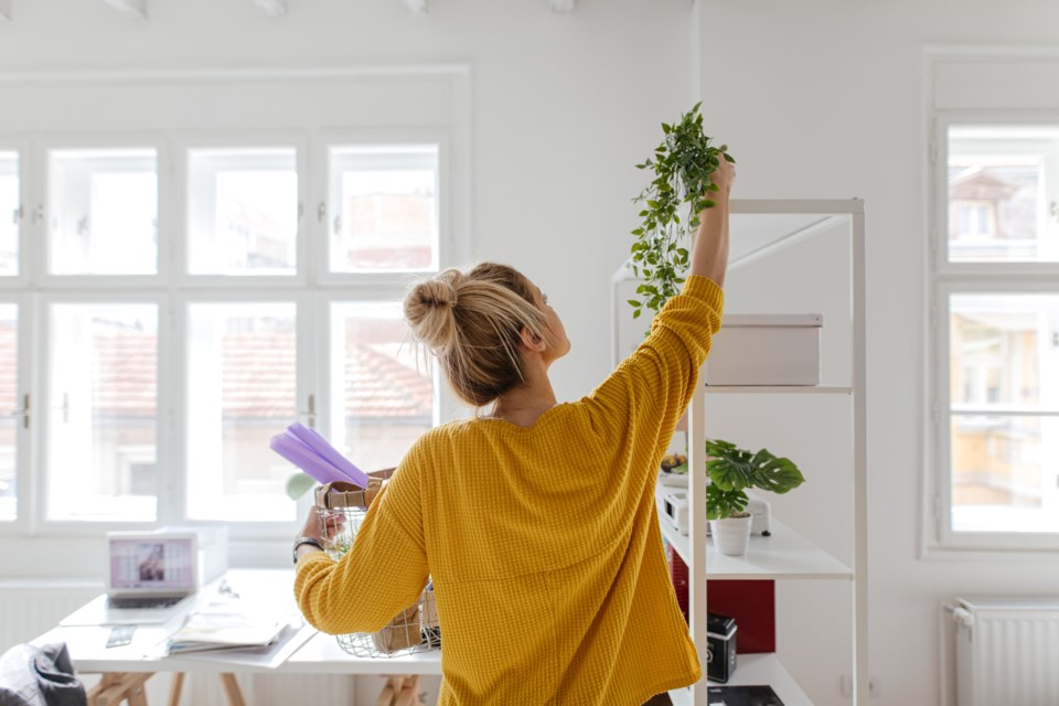 womansettingupapartment