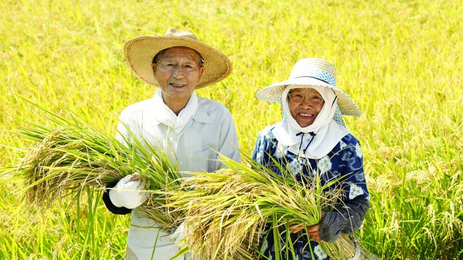 1303-asiapacific-japanriceweb