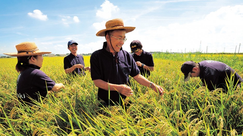 Farm offers hope for Japan s moribund agricultural sector