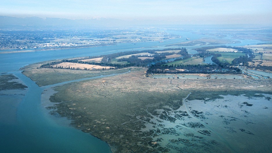 fraser-river-delta-aerial-viewcreditducksunlimited