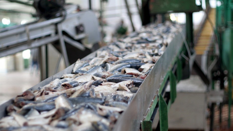 seafood-processinganutik-eplussymbol-gettyimages