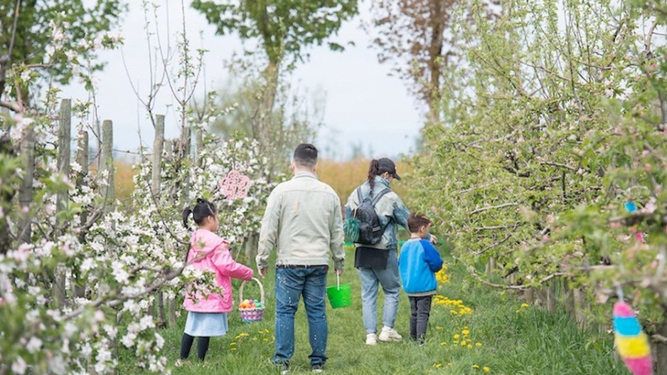 taves-family-farm-easterfest