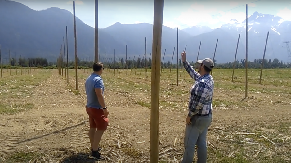 fraser-valley-hops-farm-youtube-screengrab