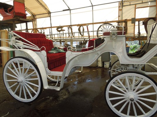 Stanley park horse drawn hot sale carriage