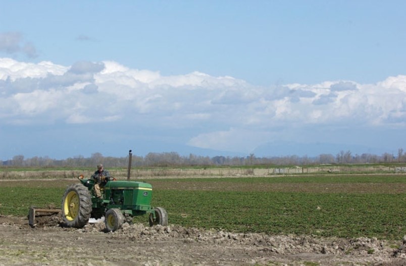 farming