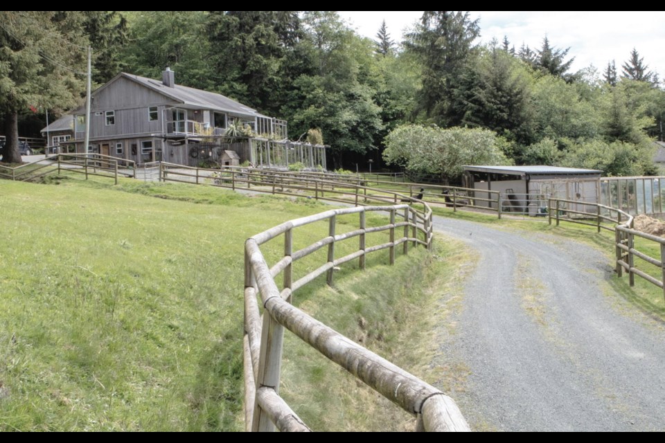 A gravel drive leads to the Sooke property, which stands on a hill overlooking the Juan de Fuca Strait. PHOTOS BY Stewart Jack, Tanglehurst Studios