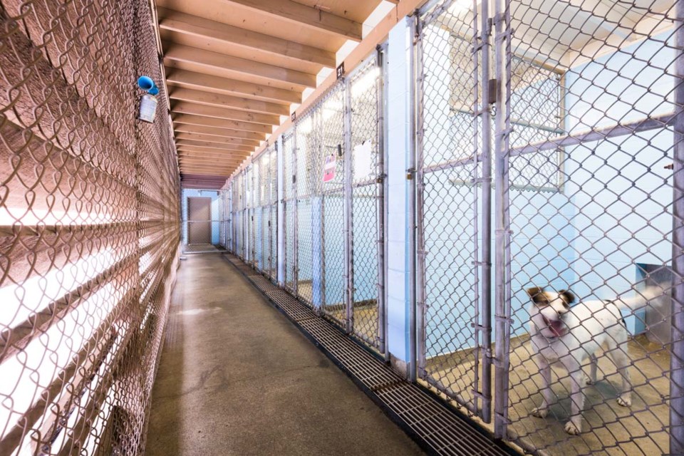 Vancouver Animal Services Shelter