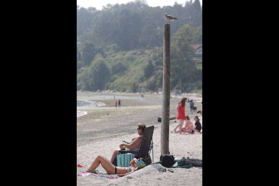 As the sizzling days of summer begin to wind down, it seemed like a good idea to spend an afternoon at one of Greater Victoria's many waterfront treasures, Cadboro-Gyro Park Beach.