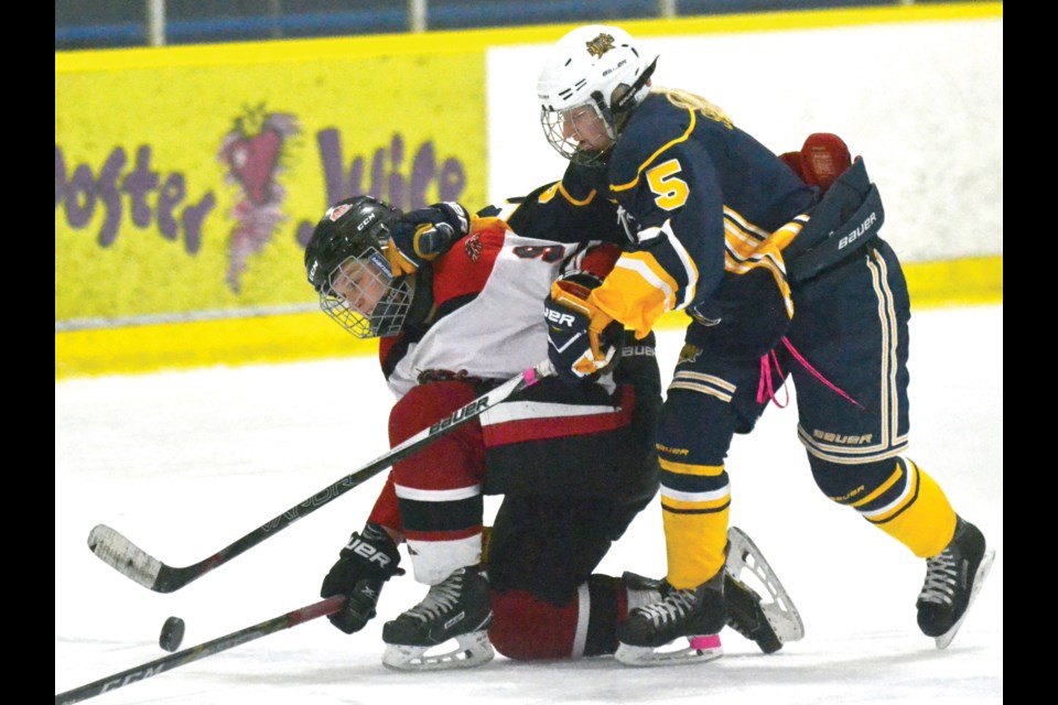 Try Hockey - Richmond Ravens