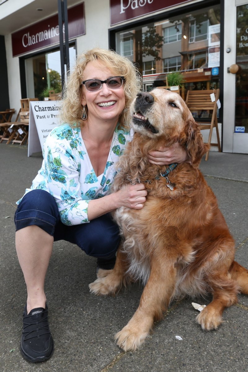 Cody, gentle ambassador of Fort Street, dies of old age - Victoria Times  Colonist