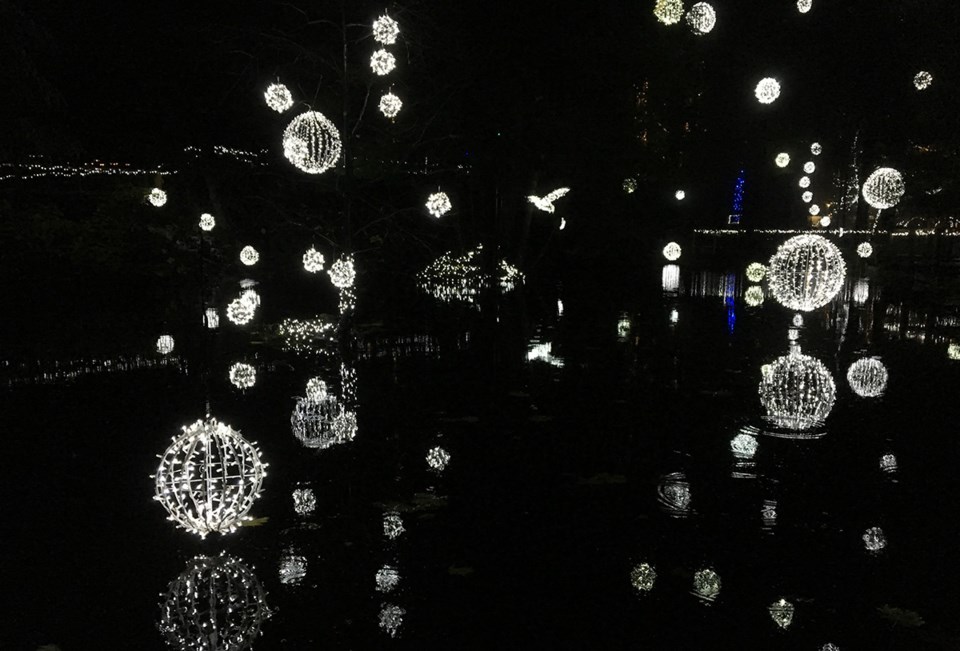 Capilano Suspension Bridge lights