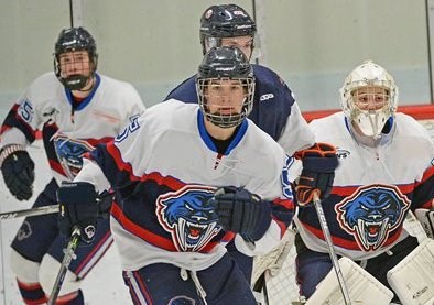 Hockey face shields