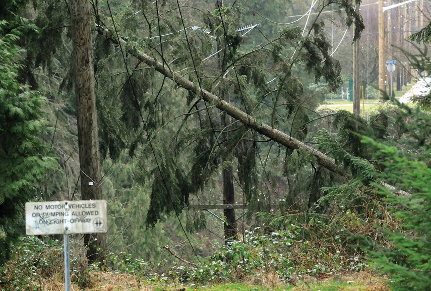 Wind storm