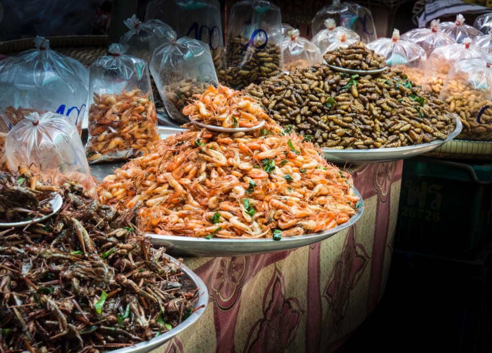 deep fried insects