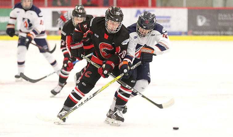 Cariboo Cougars advance to Round 2_0