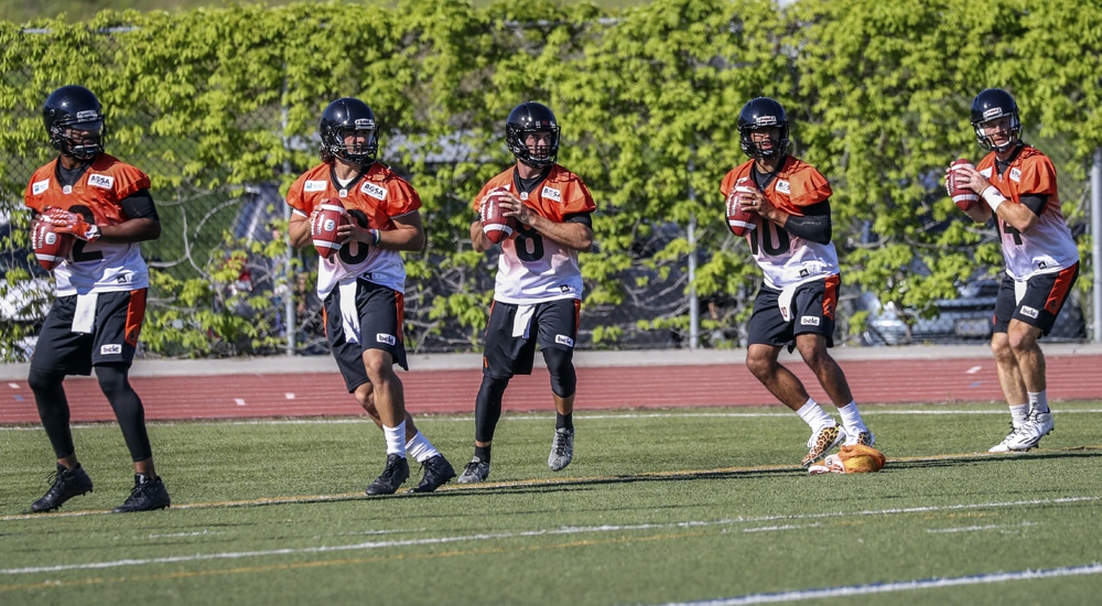 New Lions quarterbacks shine in pre-season win over Roughriders