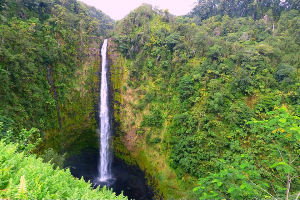 Dropping 442 feet, the Big Island's Akaka Falls is more than double the height of Niagara Falls.