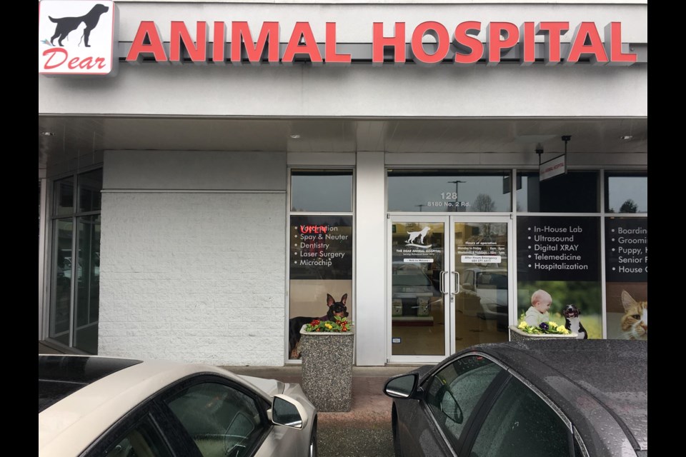 Photo: Dear Animal Hospital/Facebook