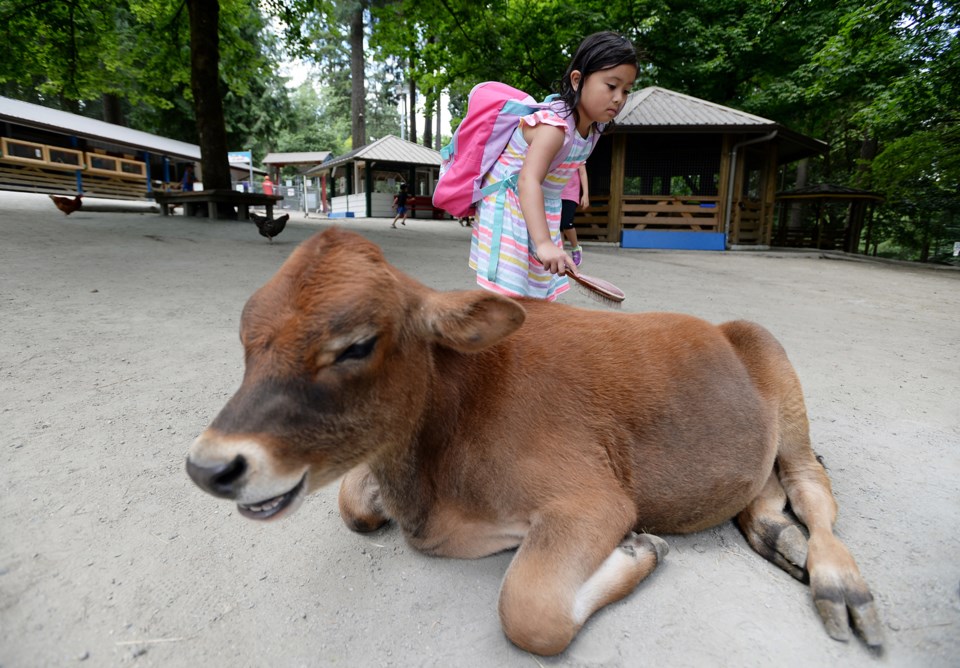 Queen's Park, petting farm