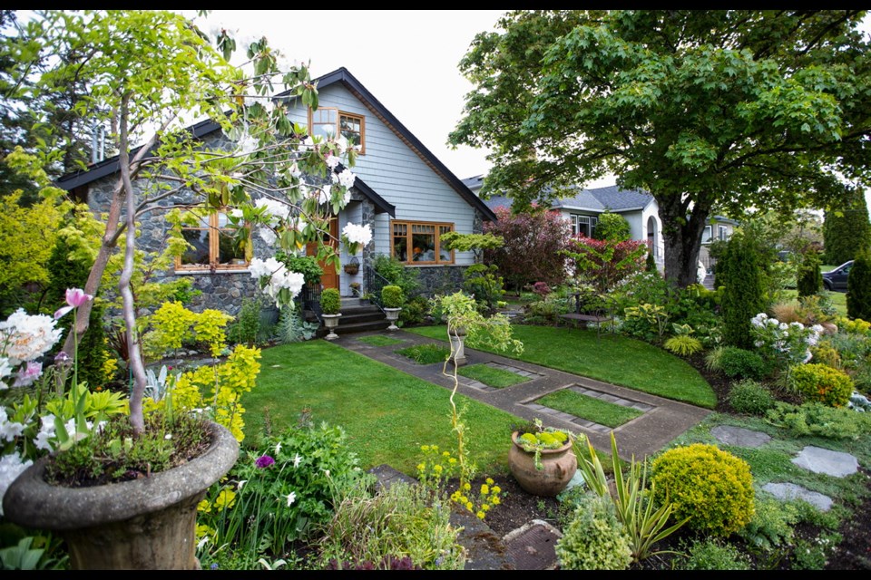 This home near Camosun College's Lansdowne campus has a front entry path that mimics the driveway, where the owner took out paved rectangles and planted grass instead. Her front lawn is a circle bisected by the path. The front path features a cement pot on a plinth as a focal point.